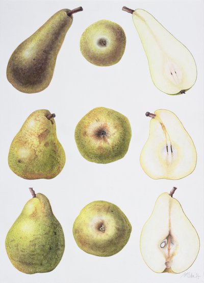 Six Pears by Margaret Ann Eden